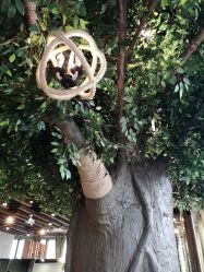 -V-STAR威斯达•高级私人定制