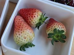 -悠然湯·汗蒸汤泉会馆