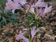 -苏州河梦清园环保主题公园