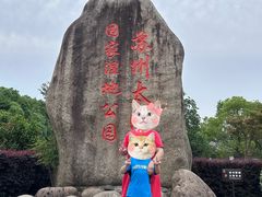 -苏州太湖国家湿地公园