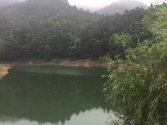 -酒仙湖景区