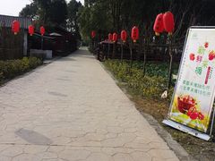-洪湖家庭农场·团建·露营·会议