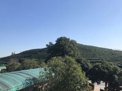 -听风阁农家私房菜茶楼(龙坞店)