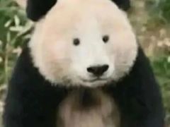 -肯德基(下沙和达城店)