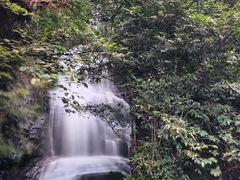 -云南屏边大围山国家公园
