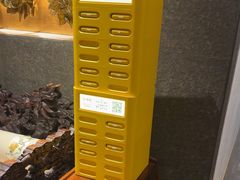 -华夏良子·足道SPA艾灸(王府井店)