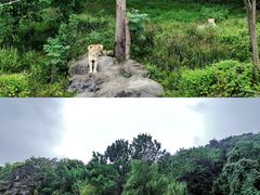 -宁波野生动物园