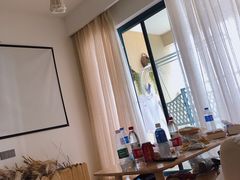 -广东惠东海龟国家级自然保护区