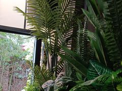 -陈熹公民族美食文化餐厅(中华广场店)