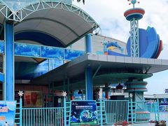 -海合安青岛极地海洋公园