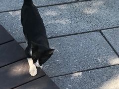 -星巴克(深圳前海企业公馆店)