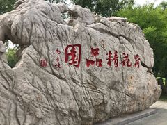 -微山湖红荷湿地景区