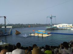 -秦皇岛乐岛海洋王国