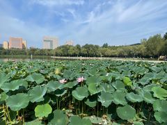 -长春世界雕塑园