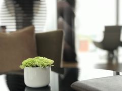 -君悦酒店·大堂酒吧·高空下午茶·暮色微醺