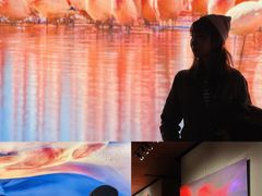 -罗红摄影艺术馆