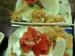 -Famous肥猫墨西哥音乐餐吧(五棵松华熙LIVE店)