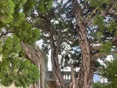 -旅顺博物馆