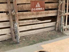 -呀路古热带植物园