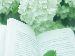 -龙苍沟森林公园