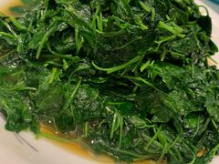 -松沪名灶·豆浆鱼头·新上海菜(飞航吾悦广场店)