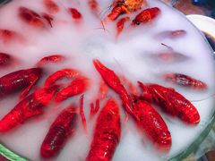 -红盔甲·小龙虾(天钥桥店)