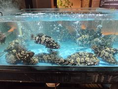 -紫阳海鲜楼·传承闽味(长乐路总店)