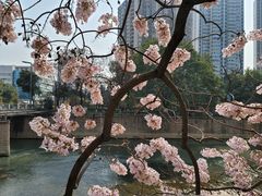 -红星桥(地铁站)