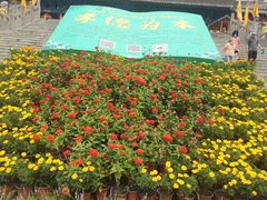 -大槐树寻根祭祖园