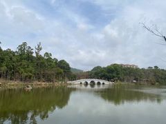 -金山植物公园