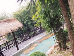 -崇阳三特浪口温泉