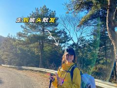 -四明山国家森林公园