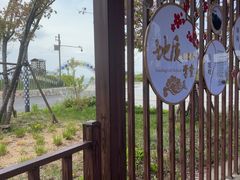 -王莽岭风景区