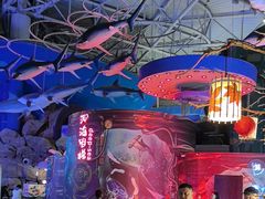 -烟台海昌鲸鲨海洋公园