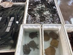 -韩家墅海吉星农产品批发市场