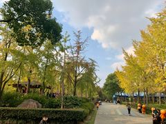 -黄兴公园
