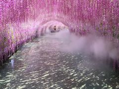 -泉城欧乐堡水上世界