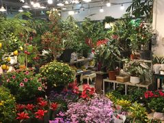 -双季花艺园艺市场(浦东店)