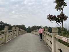 -眉山湿地公园(东坡区)
