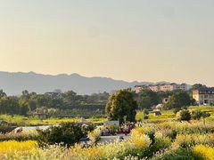 -全季酒店(重庆上清寺牛角沱地铁站店)