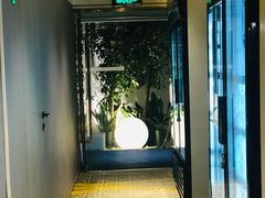 -金色希望596