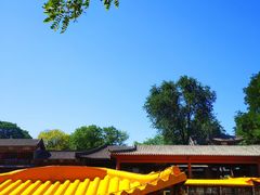 -皇家御河游(紫御湾码头)
