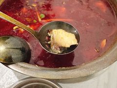 -重庆特色冷锅鱼(武大店)