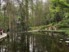 -波尔登森林公园