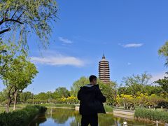 -西海子公园