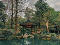 -杭州植物园