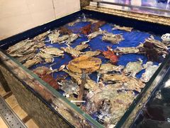 -高佳庄·舟山海鲜(海景旗舰店)