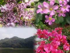 -广州市白云山风景名胜区