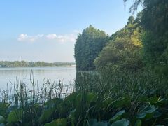 -东湖落雁景区