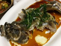 清蒸深海游水斑-君德澜酒家·创意粤菜(金山谷店)